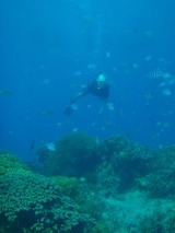 guam2.8i4