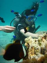 guam5.25i4