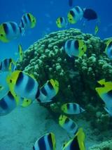 guam10.17image