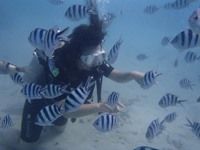 13 guamaqua3