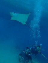 guam4.12ow