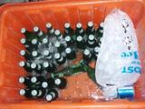 guam7.21beer