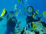 guam10.6i-2