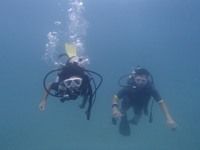 13 guamaqua3