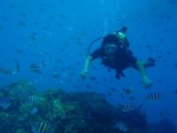 guam7.20i2