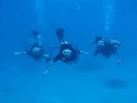 13 guamaqua3