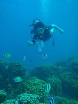 guam6.17i1