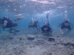 PC040033