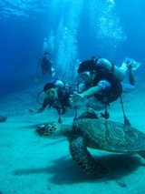guam8.13b5