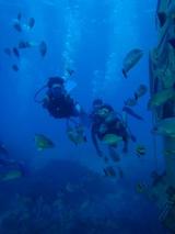 guam10.22i-2