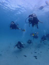 P5050041