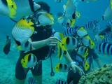 guam4.1i-2-2