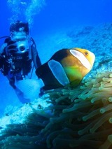 guam10.18k1