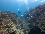 guam7.2w1