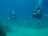 guam5.20i6