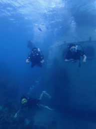 PA070097
