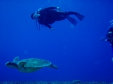 guam11.22miya"