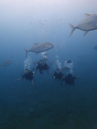 P9080055