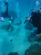 guam8.31b7.jpg
