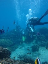 guam8.31b6.jpg