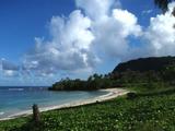 guam10.28tanguisson1