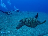 guam7.3b5