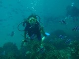 guam7.24b2