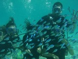 guam10.26s3