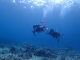 P9140104