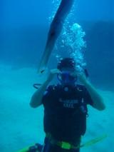 guam11.172tank3