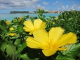 guam1.17beach