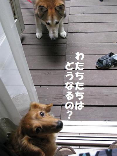 �錄��������