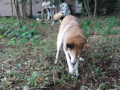 IMG_1140masato5