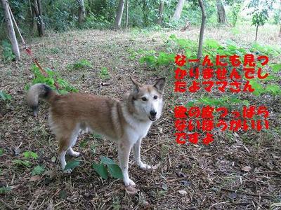 IMG_1129masato5
