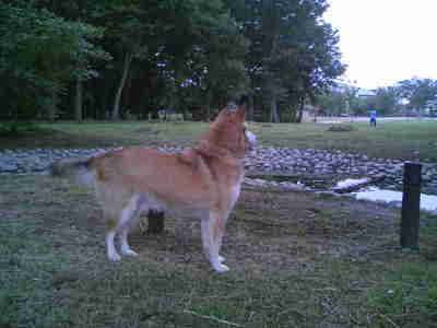 ML_TS3C1212