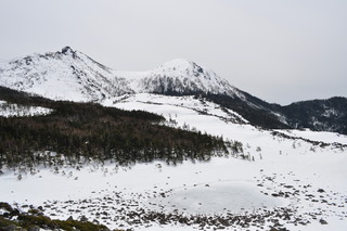 DSC_0407