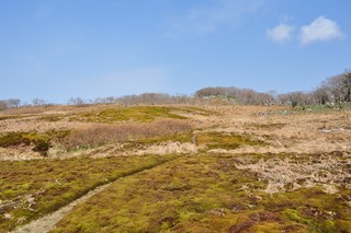 DSC_2123