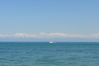 DSC_1981