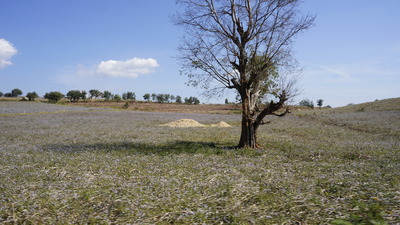 _DSC0020