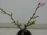 DSC00380