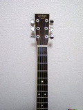 catseyes-tce-30-10-3