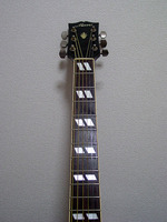 morris-dove-8-3