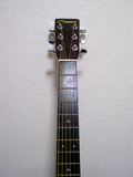 fernandes-w-400-3