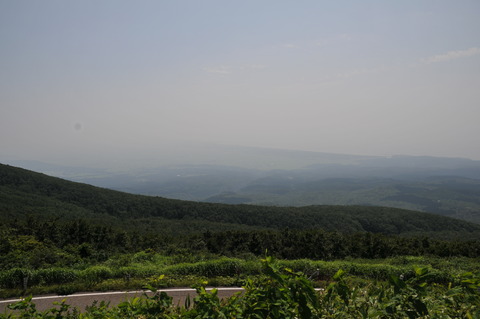 DSC_1791