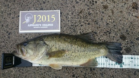 2b1763f5.jpg