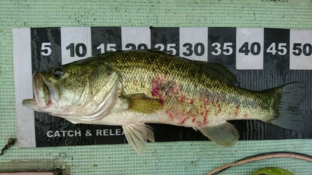3dd75c10.jpg