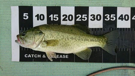 4d4085aa.jpg