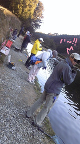 BlogPaint