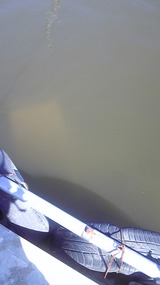 a03f1fc0.jpg