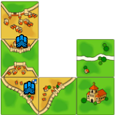 carcassonne8